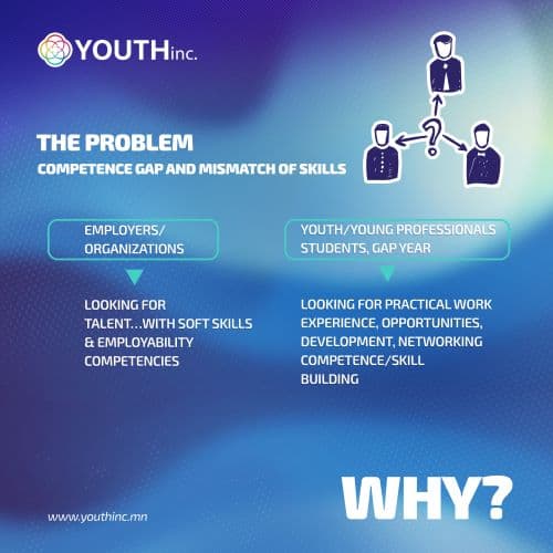 The problem: competence gap and skills mismatch