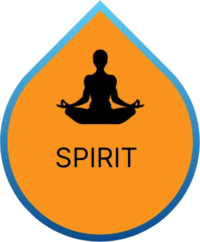 Bfit SPIRIT